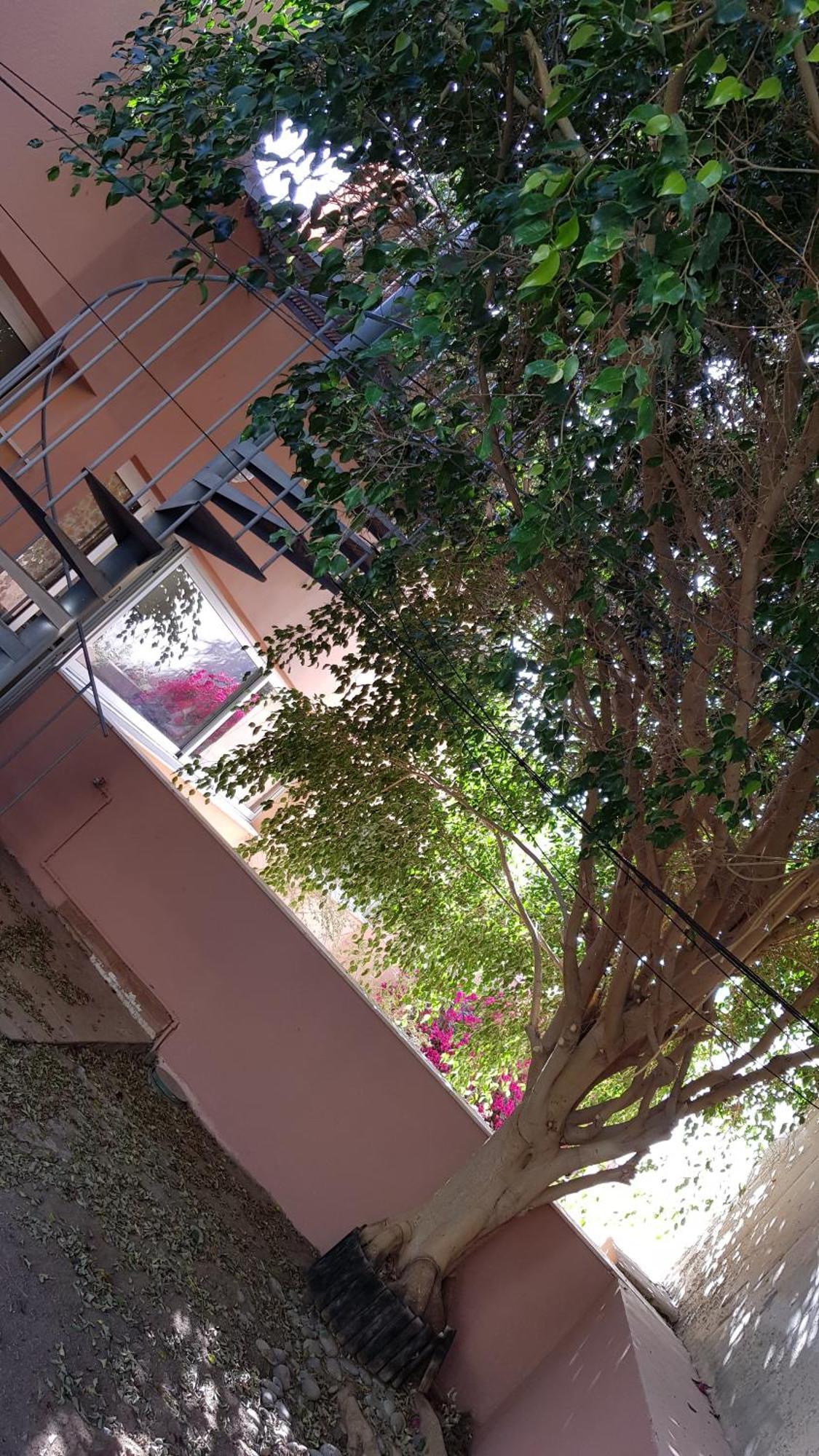 Aparthotel Strelitzia Park San Miguel de Abona Zimmer foto